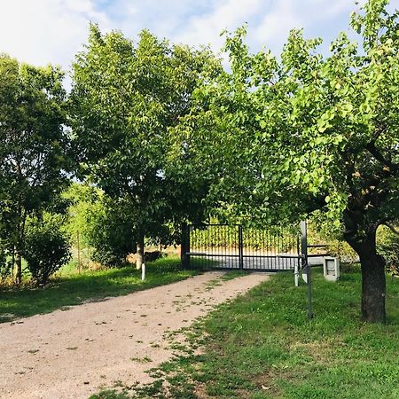 Una Casa Di Campagna Dossobuono Buitenkant foto