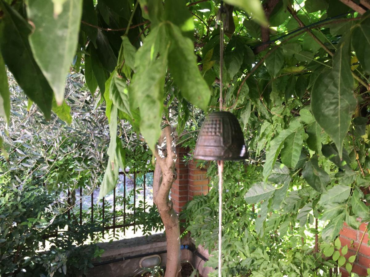 Una Casa Di Campagna Dossobuono Buitenkant foto