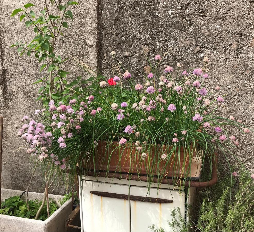 Una Casa Di Campagna Dossobuono Buitenkant foto