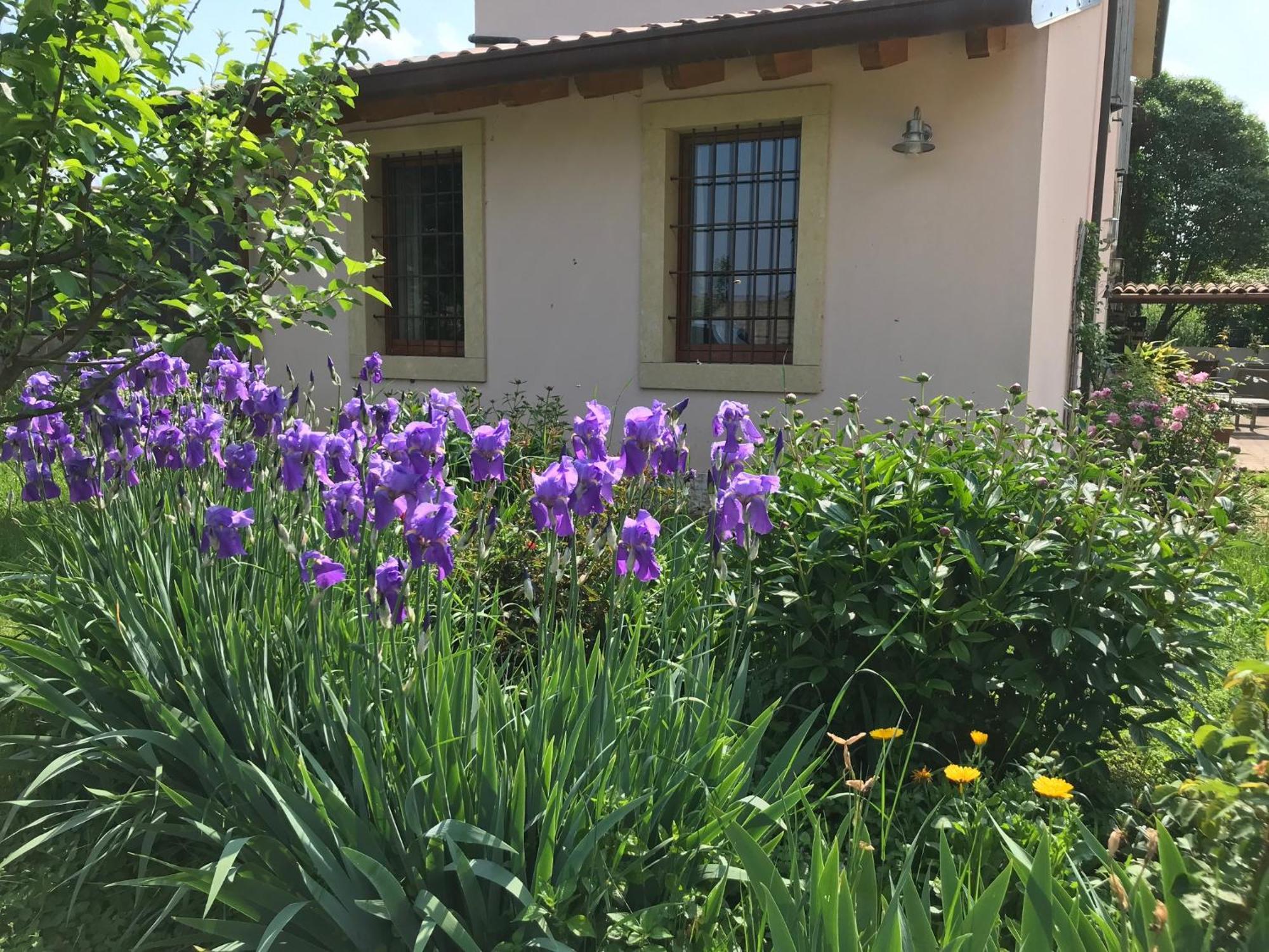 Una Casa Di Campagna Dossobuono Buitenkant foto